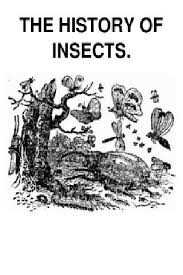 A History of Insects